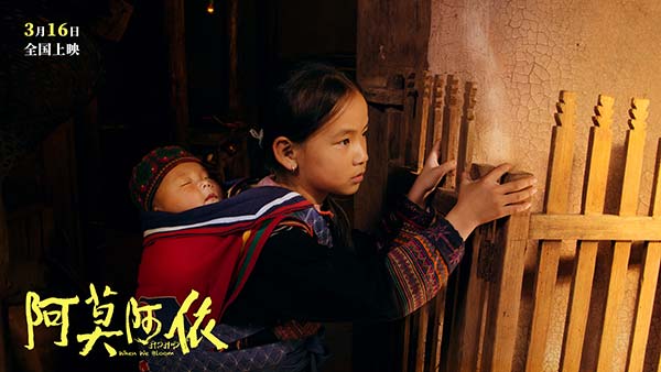 电影《阿莫阿依》剧情版预告曝光 讲述彝族少女复学追梦故事