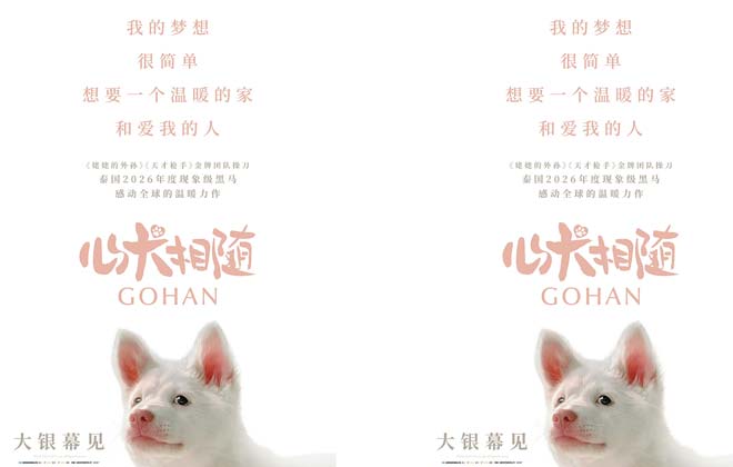 泰国年度票冠《心犬相随》引进内地 粉红桃心鼻小白狗萌翻大银幕