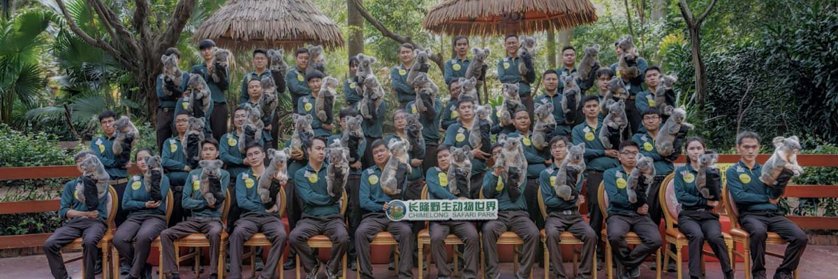 《我是考拉，欢迎光临我们的家》温情收官：一个八代考拉大家族，二十年的爱与守候