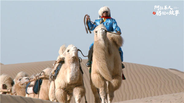 纪录片《阿拉善人与骆驼的故事》今日上线 回溯人与骆驼的千年守望(图3)