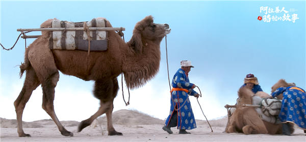 纪录片《阿拉善人与骆驼的故事》今日上线 回溯人与骆驼的千年守望(图2)