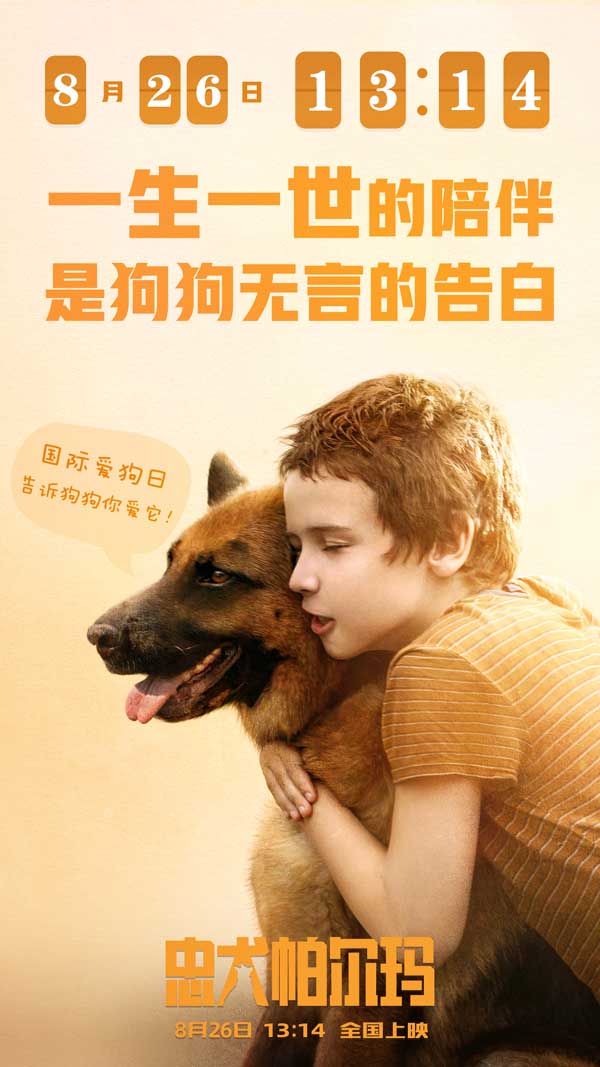 《忠犬帕尔玛》点映收获好评满满 首发中文配音预告开启预售(图1)