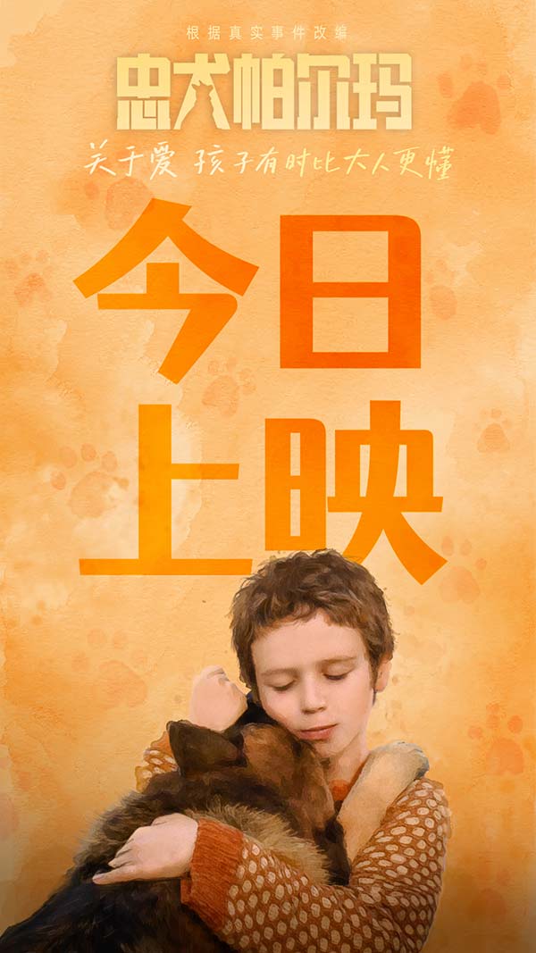 让孩子受益一生的治愈系电影《忠犬帕尔玛》今日上映(图1)